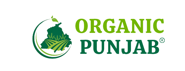 Organic Punjab