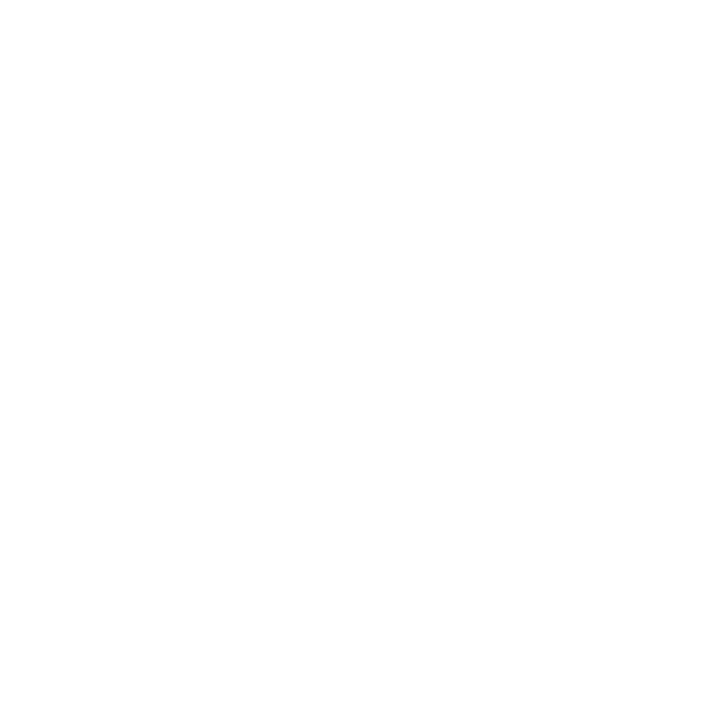 Organic Punjab
