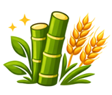 Healthy Living Focus